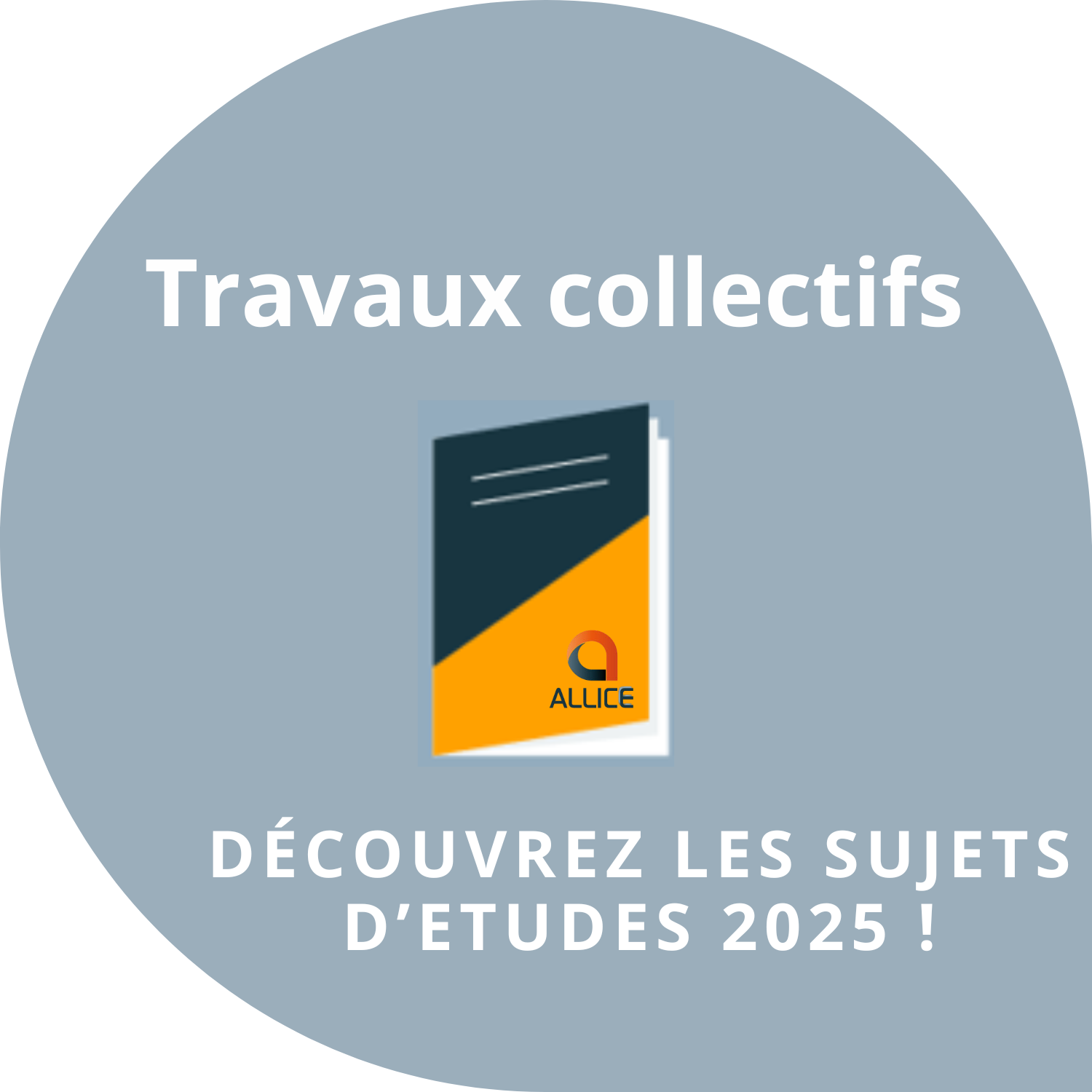 TRAVAUX_COLLECTIFS_2025