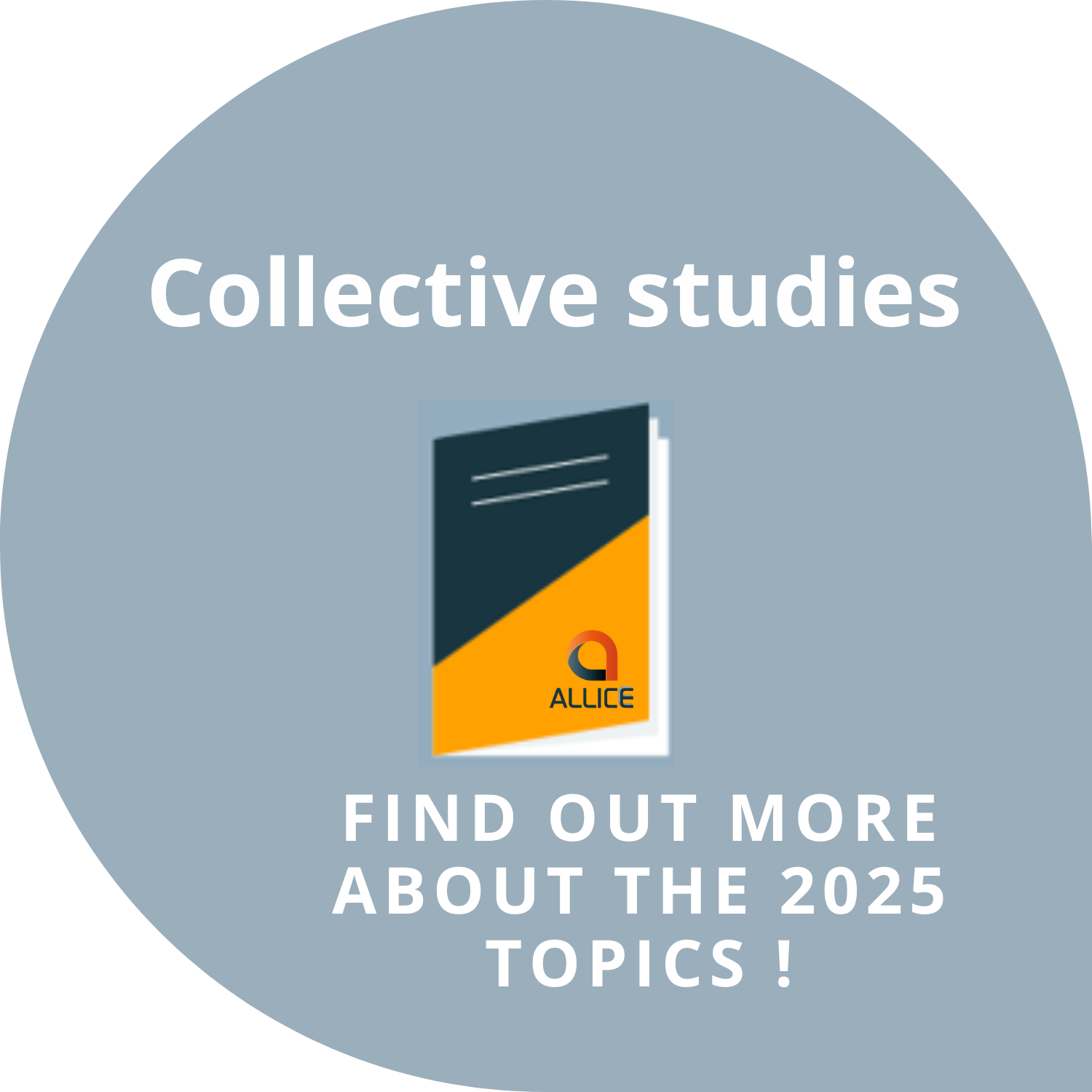 COLLECTIVE_STUDIES_2025